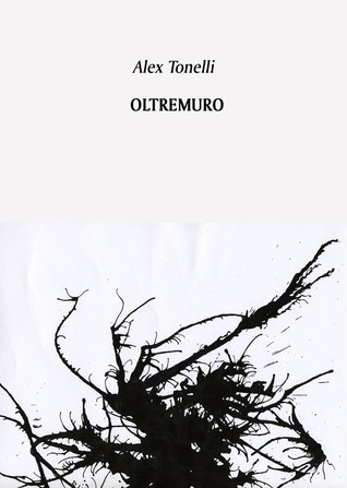 Oltremuro (Kindle Edition)
