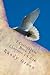 1 Corinthians Book I: Chapt...