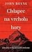 Chlapec na vrcholu hory