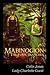 Mabinogion, the Four Branches: The Ancient Celtic Epic