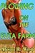 Plowing on the FUTA farm