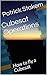 Cubesat Operations: How to fly a Cubesat (Cubesats Book 2)