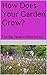 How Does Your Garden Grow?: Five Day Vacation Bible School