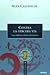 Contra LA Tercera Via: Una Critica Anticapitalista (Spanish Edition)