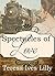 Spectacles of Love (A Spinster Orphan Train novella Book 2)