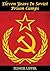 Eleven Years In Soviet Pris...