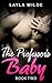 The Professor's Baby (Book Two)