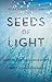 Seeds of Light: Channeled Transmissions on the Christ Consciousness