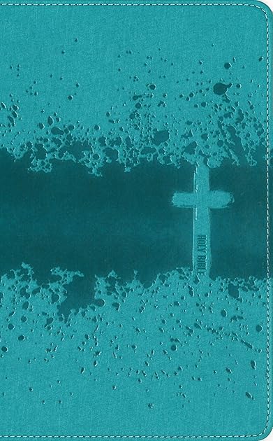 NIV Kids' Visual Study Bible: Explore the Story of the Bible - People, Places, and History