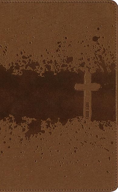 NIV Kids' Visual Study Bible: Explore the Story of the Bible - People, Places, and History