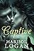 Captive: a Paranormal Romance