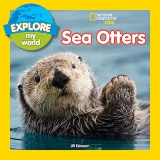 Sea Otters (Paperback)