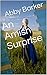 An Amish Surprise
