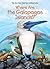 Where Are the Galapagos Islands? (Where Is?)