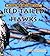 Red-Tailed Hawks (Really Wild Life of Birds of Prey)