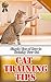 Cat Training Tips: Simple Tips of How to Training Your Cat