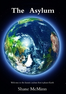 The Asylum (Paperback)