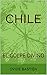 CHILE el golpe divino (Spanish Edition)