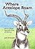 Where Antelope Roam: And Ot...