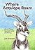 Where Antelope Roam by Jon Arensen