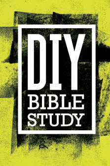 DIY Bible Study (Unknown Binding)
