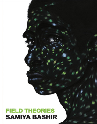 Field Theories (Paperback)