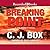 Breaking Point (Joe Pickett, #13)