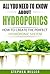 All You Need To Know About Hydroponics: How To Create The Perfect Hydroponic System