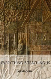 Everything Is Teaching Us (ebook)