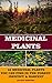Medicinal Plants: 25 Medicinal Plants You Can Find In The Forest: Identify & Harvest: (Medicinal Herbs, Alternative Medicine)