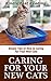 Caring For Your New Cats: Simple Tips of How to Caring For Your New Cats