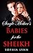Single Mother's Babies for the Sheikh