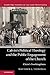 Calvin's Political Theology...