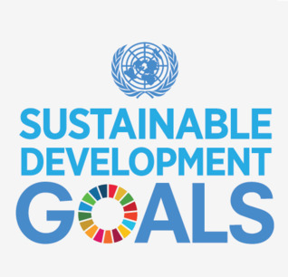 Transforming Our World: The  2030 Agenda for Sustainable Development (Unknown Binding)