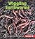 Wiggling Earthworms (First Step Nonfiction: Backyard Critters)