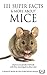 101 Super Facts & More About Mice (101 Super Facts & More!)