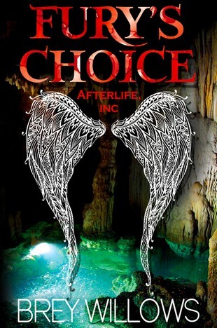 Fury's Choice (Afterlife Inc., #2)