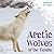 Arctic Wolves of the Tundra (Animals of the Tundra)