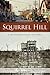 Squirrel Hill: A Neighborhood History (American Chronicles)