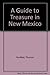 A Guide to Treasure in New Mexico