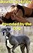 Bound by Hubby, Pounded by ...