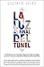La luz al final del túnel: Compendio de mis columnas publicadas entre el período del 2013 y 2016, en la Sección de Negocios de El Nuevo Día (Spanish Edition)