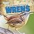 A Bird Watcher's Guide to W...