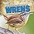 A Bird Watcher's Guide to Wrens (Backyard Bird Watchers)