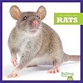 Rats