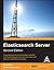 Elasticsearch Server