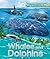 Explorers: Whales and Dolphins