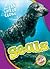 Seals (Ocean Life Up Close)