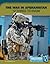 The War in Afghanistan: 12 Things to Know (America at War)