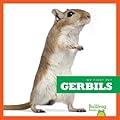 Gerbils
